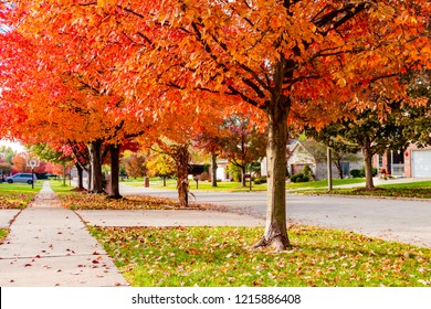 Suburban Neighborhood Sidewalk and Street in Autumn looking Downhill  - Powered by Shutterstock