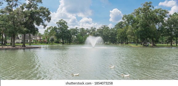 Suburban residential park with lakefront house and active water fountain. Ducks and gooses swimming at local pond under sunny cloud blue sky