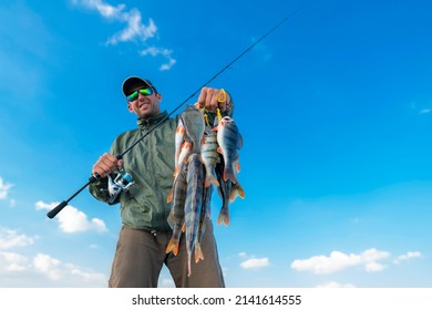 Success perch fishing. Fisherman with many perches and spinning tackle on blue sky background
