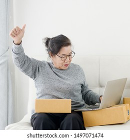 Successful Asian Senior Woman Raising Hans Up While Selling Online At Home, Lifestyle Concept.