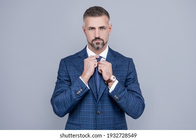 successful businessman man in businesslike suit fixing tie, fashion.