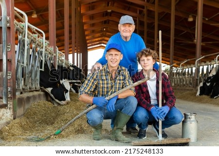 Successful elderly dairy farm owner with son and teen grandson posing together while working in stall with cows. Three generations of farming dynasty