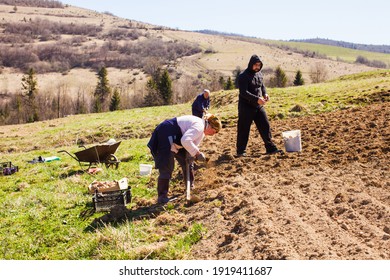 Successful Farming Is A Hard Family Business