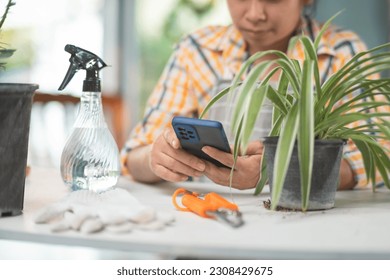 Successful female gardener using smartphone to sell plants at online market. Young woman selling potted plants on social media with mobile phone at home. Owner start up small business greenhouse. - Powered by Shutterstock