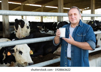 Successful Mature Male Farmer With Cow Milk In Glass At Cowshed On Dairy Farm