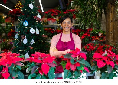 Successful Peruvian Female Flower Shop Owner Standing With Crossed Arms Near Christmas Flowers