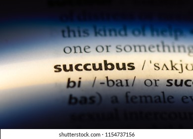 succubus word in a dictionary. succubus concept.