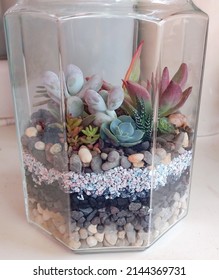 Succulent Arrangement In Glass Jar Terrarium