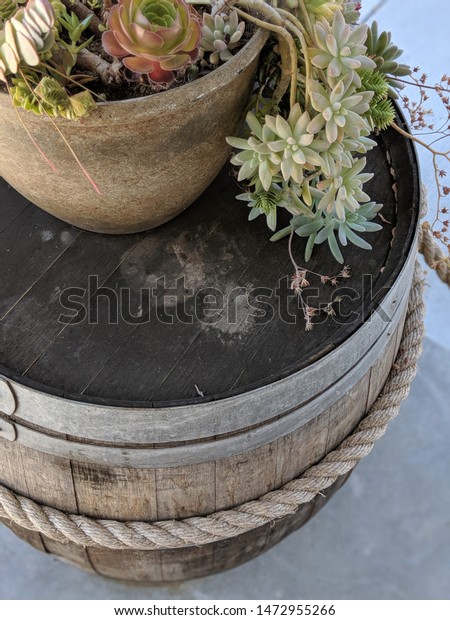 Succulent Arrangement On Top Decorative Wine Stock Photo Edit Now