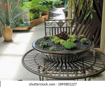 Succulent and cacti collection displayed on wrought iron table setting in courtyard garden - Shutterstock ID 1895801227