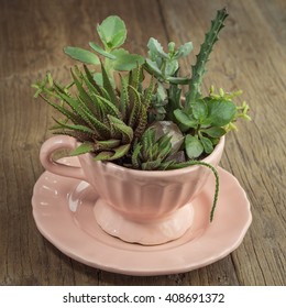 Succulent & Cactus Teacup Planter 