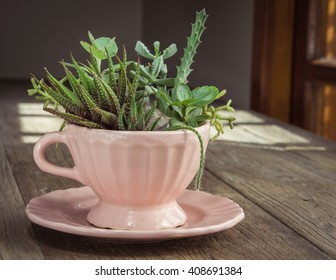 Succulent & Cactus Teacup Planter 