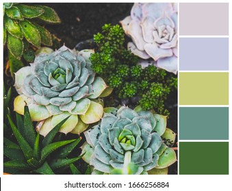 skam Andragende Metropolitan Nature Mood Board Images, Stock Photos & Vectors | Shutterstock