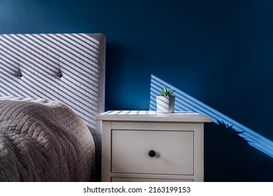 Succulent in concrete plant pot with decorative shadows on a blue wall and bedside table in bedroom interior. Game of shadows on a wall from window at the sunny day. Graphic minimalist home background - Powered by Shutterstock