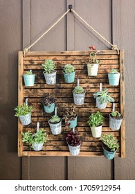 Succulent Display DIY Home Project