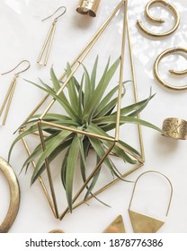 Succulent Display With Gold Jewelry Flatlay