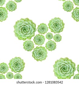 Succulent Flower Plant Background Stock Photo 1281083542 | Shutterstock