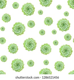 Succulent Flower Plant Pattern Stock Photo 1286521456 | Shutterstock
