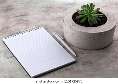 succulent and open notebook marble background - Powered by Shutterstock