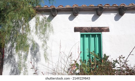 Succulent plant, cactus by white wall with green wooden window, mexican garden in California, USA. Cacti in sunlight, rural provincial ranch or homestead building. Cactaceae vegetation in countryside.