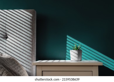 Succulent in plant pot with decorative shadows on green, turquoise wall and bedside table in bedroom interior. Game of shadows on wall from window at the sunny day. Graphic minimalist home background