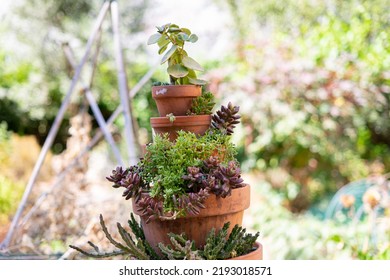 Succulent Plant Tower Made Of Stacked Ceramic Pots And Large White Gray Stone Potter