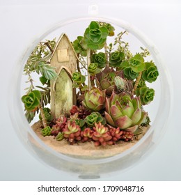 Sukkulentpflanzengarten verschiedener Arten mit einem handgefertigtem Birkenholzhackhaus in einem Plastikkugel zum Hängen, Hängeterarium mit Miniatur-Biosphären-Kakteen und Apfeln ideal für Dekoration