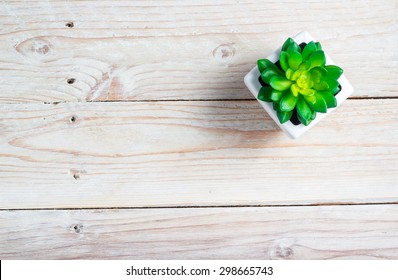 Succulent in pot wooden table background with copy space - Powered by Shutterstock