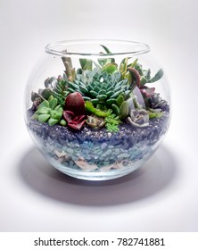 The Succulent Terrarium In A Glass Vase