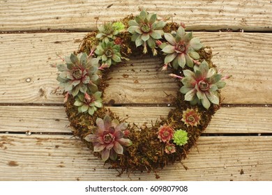 Succulent Wreath On Table