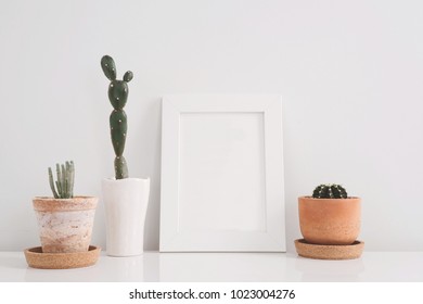 succulents or cactus in clay pots over white background on the shelf and mock up frame photo.