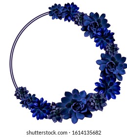 Succulents in classic blue, color 2020. Isolated, PNG. Round frame of flowers. Color of the 2020 year,  palette with deep classic blue swatch for print, web design. clip art,Flat lay, top view