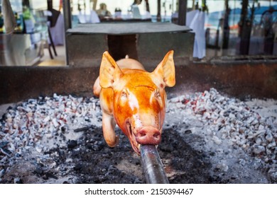 Suckling pig bbq roasted on a spit is a popular food in Philippines