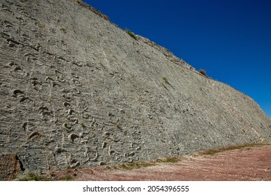 Sucre, Bolivia - 04.21.21 : Fossilized Footprints Of Ancient Reptiles On A Rock At The Dinosaur Park In Sucre, Bolivia