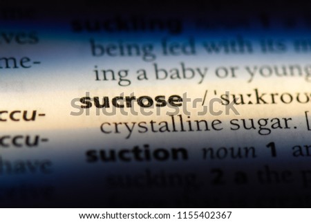 sucrose word in a dictionary. sucrose concept.