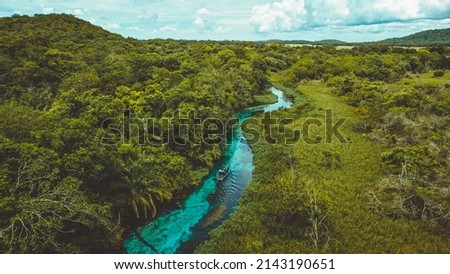 Sucuri River or Rio Sucuri in Bonito ,Mato grosso do Sul - river with blue crystalline water. Brazil
