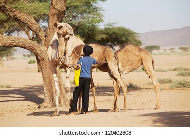 SUDAN - JANUARY 10: Sudanese Boy Leads Camels In Rural Area Near Nubian Pyramids On January 10, 2010. Sudan Remains One Of The Least Developed Countries In The World.