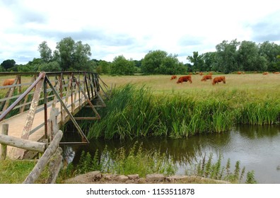 Sudbury Meadows, Suffolk