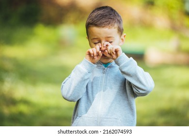 Suffering From Pollen Allergy. Child With Pollen Allergy. Spring Allergy Concept. Wormwood Pollen Allergy. Boy Rubbing Eye. Boy Has Allergies From Flower Pollen