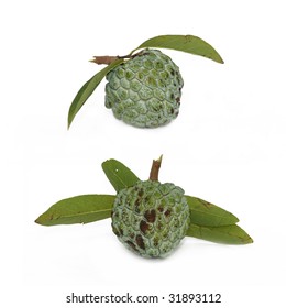 sugar apple