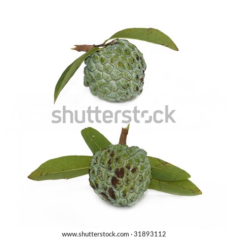 sugar apple