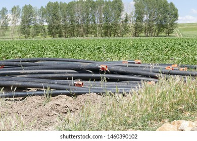 Sugar Beet Farming, Sugar Beet Irrigation, Irrigation Equipment, Irrigation Pipes And Sprinklers,