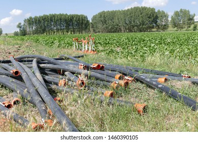 Sugar Beet Farming, Sugar Beet Irrigation, Irrigation Equipment, Irrigation Pipes And Sprinklers,