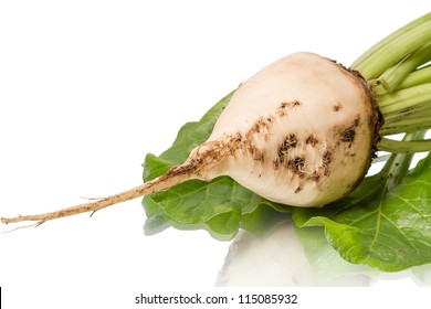 Sugar Beet  Isolated On White Background