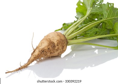 Sugar Beet  Isolated On White Background