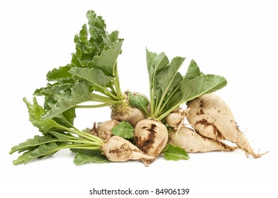 Sugar Beet On White Background