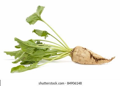 Sugar Beet On White Background