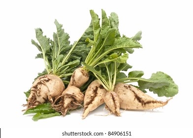 Sugar Beet On White Background