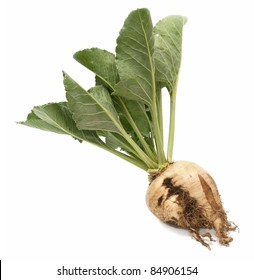 Sugar Beet On White Background