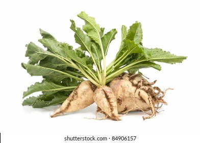 Sugar Beet On White Background